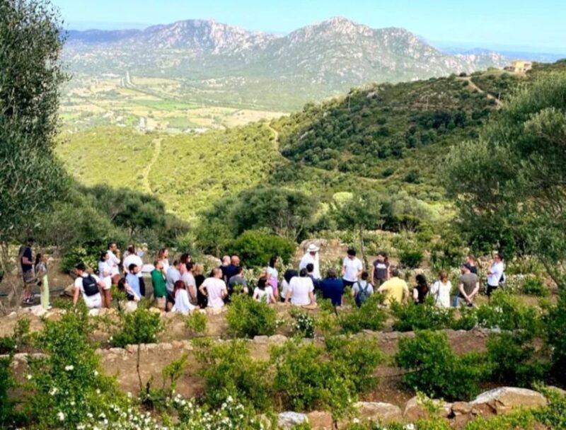 olbia-visit-a-myrtle-making-factory-with-tasting-2