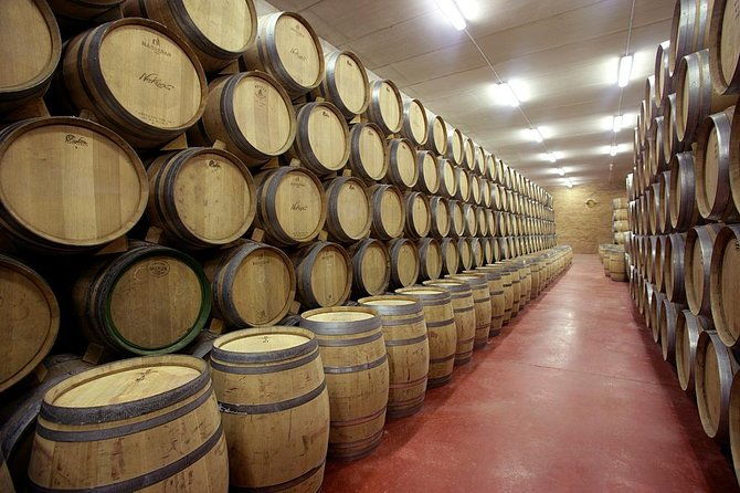 olive-oil-and-navarre-winery-visit-with-tastings-and-lunch-in-small-group-tour