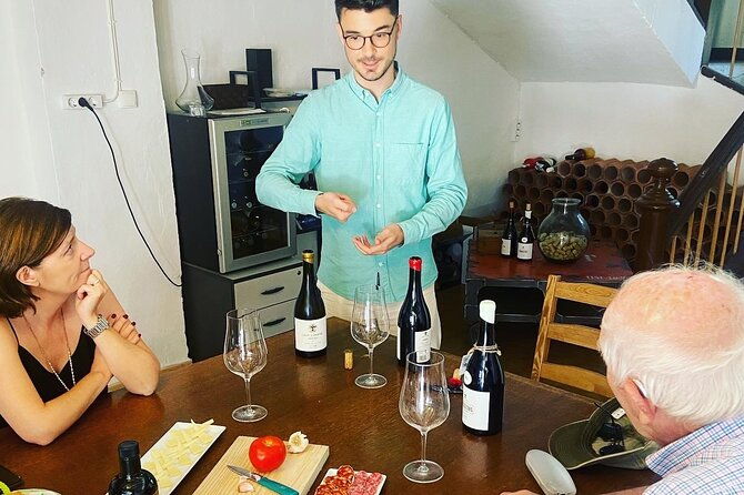 olive-oil-and-winery-tour-from-zaragoza-city