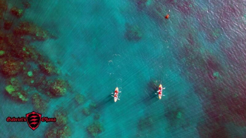 olowalu-guided-tour-over-reefs-in-transparent-kayak