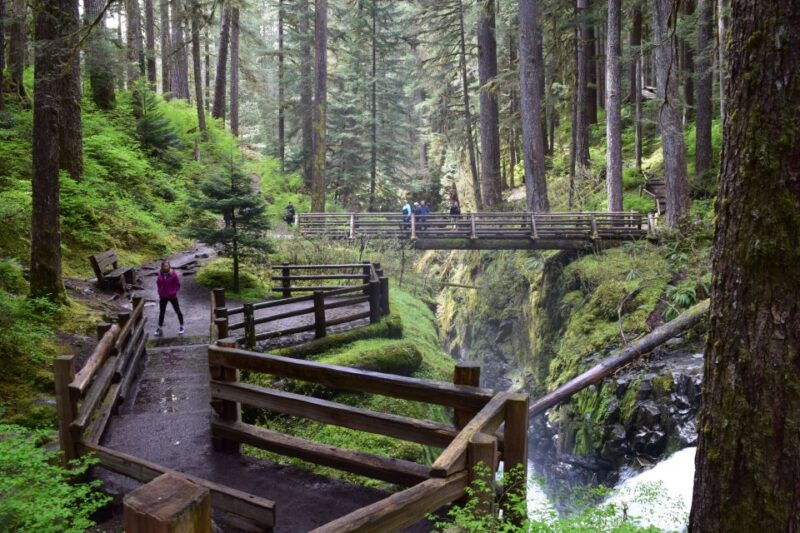 olympic-national-park-sol-duc-and-hurricane-ridge-tour