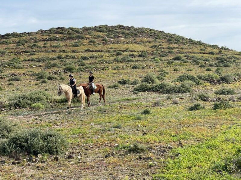 one-hour-horse-riding-tour-in-gran-canaria