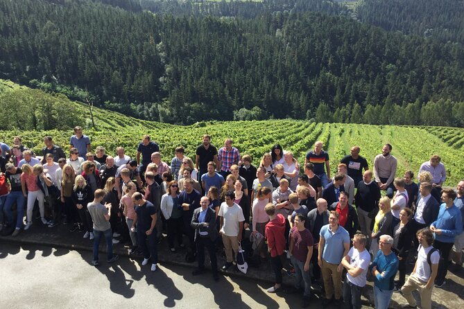 organic-winery-visit-with-tasting-in-bilbao