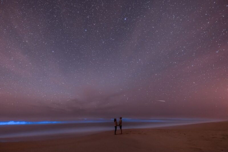orlando-bioluminescence-kayak-adventure