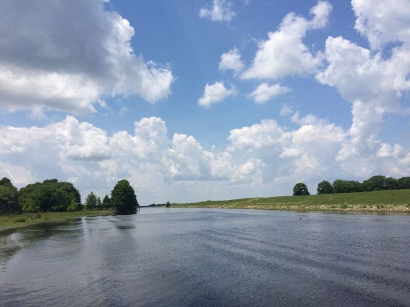 orlando-wild-florida-airboat-ride-with-transport-lunch