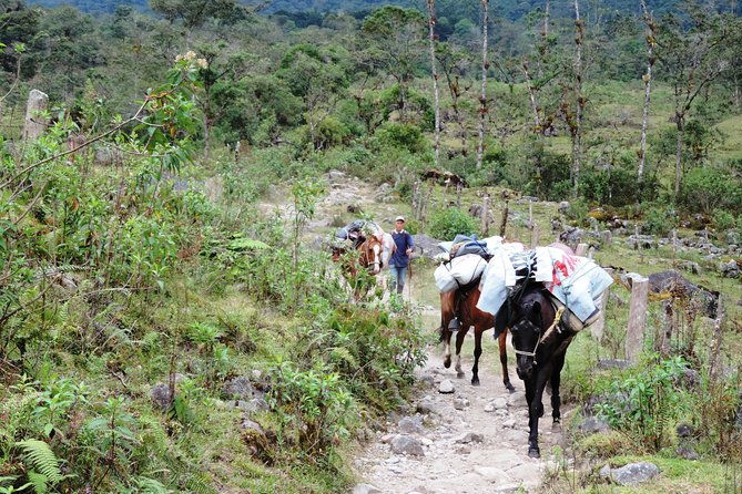 otun-basin-crossing-3-days-2-nights
