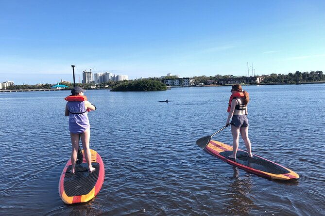 paddle-board-rental