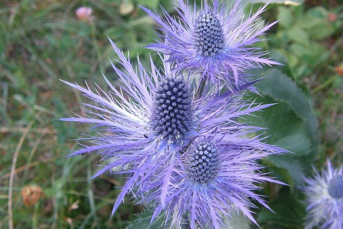 paklenica-national-park-admission-ticket