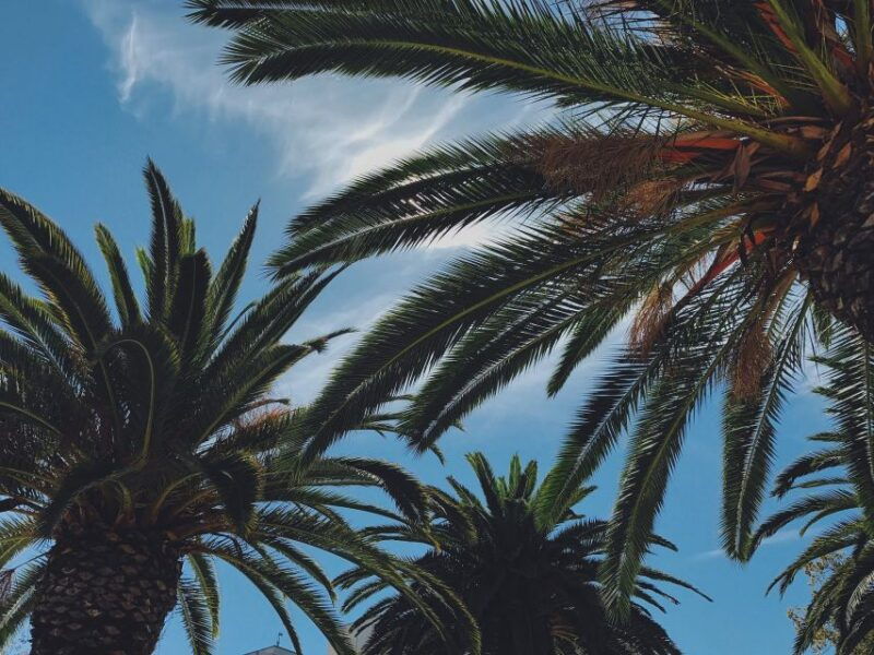 palm-beach-historical-bicycle-tour-of-palm-beach-island
