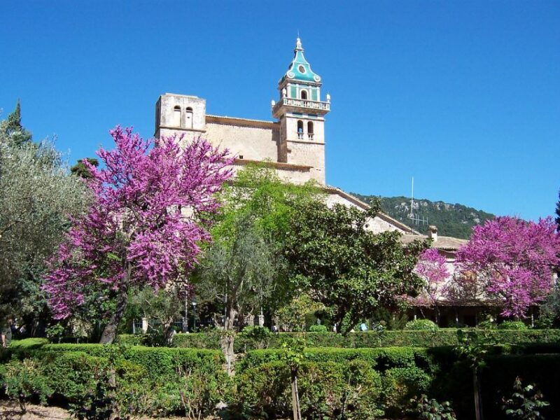 palma-de-mallorca-free-time-in-palma-and-valldemossa