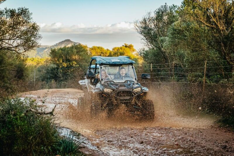 palma-de-mallorca-off-on-road-buggy-tour-with-2-or-4-seater