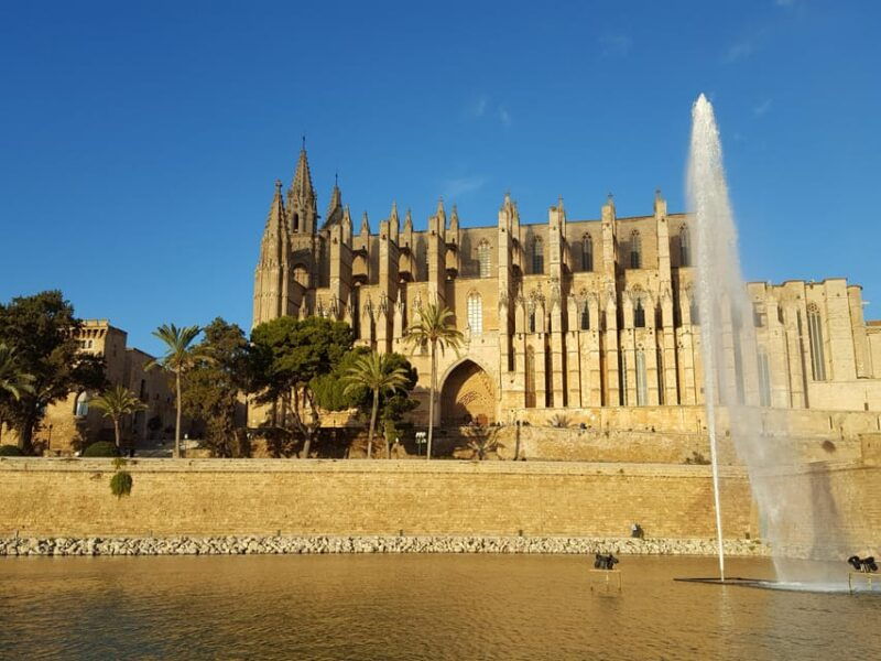 palma-de-mallorca-soller-by-train-city-tour-from-palma