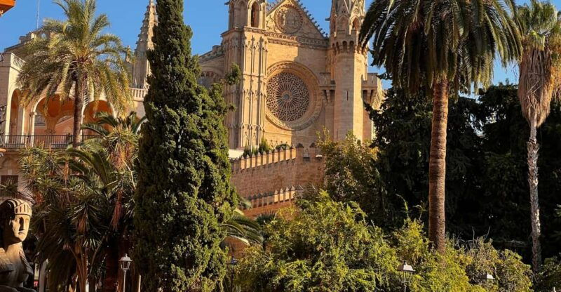 palma-mallorca-culinary-tour-of-palma-old-town