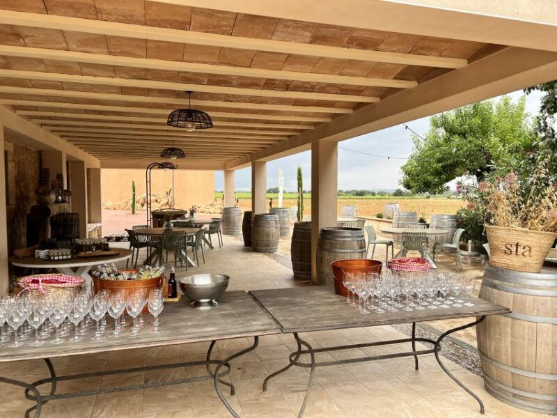 palma-orange-farm-olive-mill-winery-tour-with-tastings