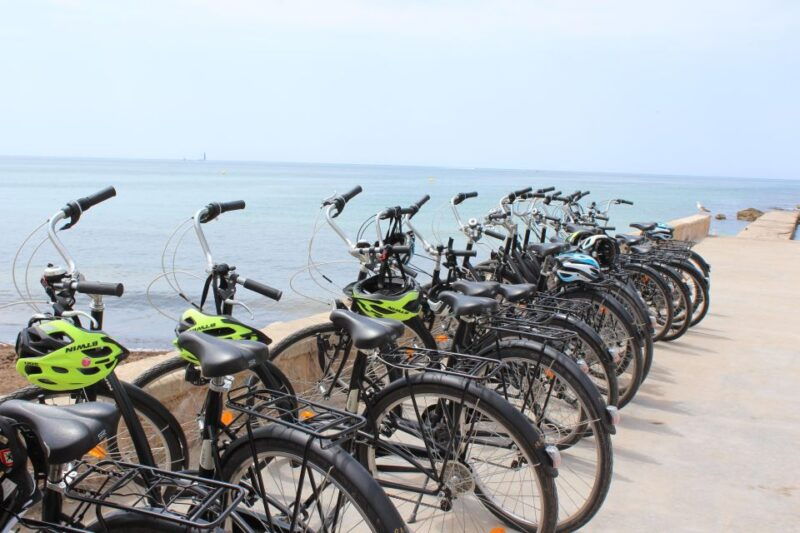 palma-shore-excursion-bike-tour-transfer-included