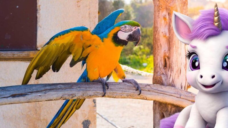 palma-the-magical-creatures-of-palma-exciting-family-game