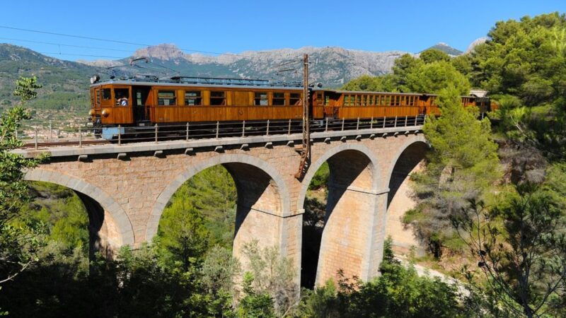 palma-tramuntana-full-day-tour-with-soller-train-and-lunch