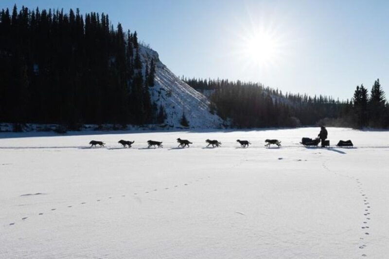 palmer-dogs-and-glaciers-sledding-and-helicopter-tour