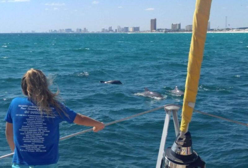 panama-city-beach-dolphin-sightseeing-sail-on-the-footloose