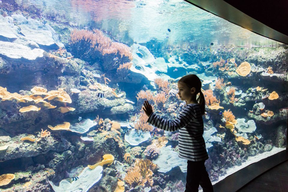 paris-aquarium-de-paris-entrance-ticket