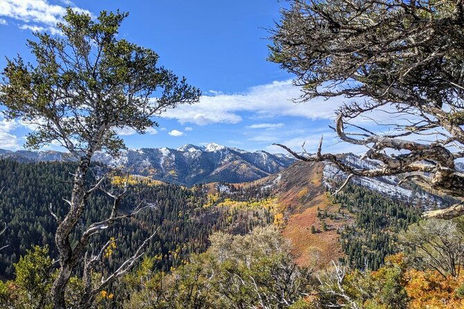 park-city-hiking-activity-with-local-guide