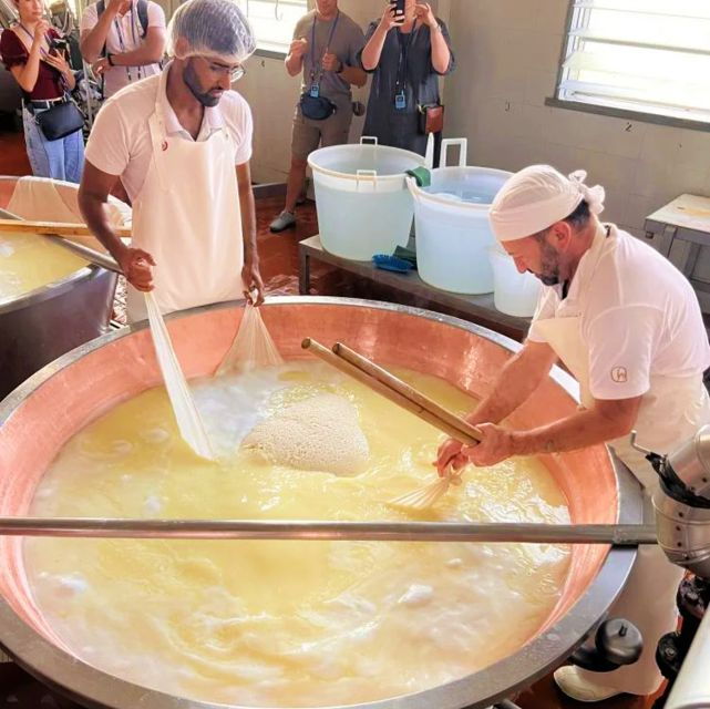parma-traditional-cheese-factory-visit-with-tasting