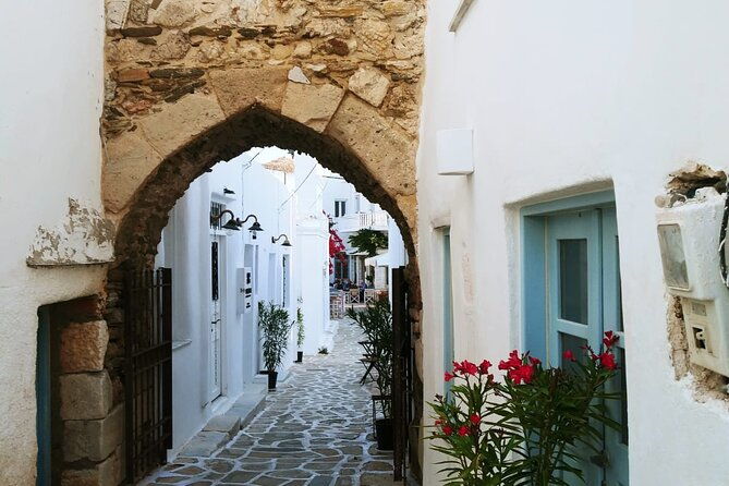 paros-private-tour-exploring-the-beaches