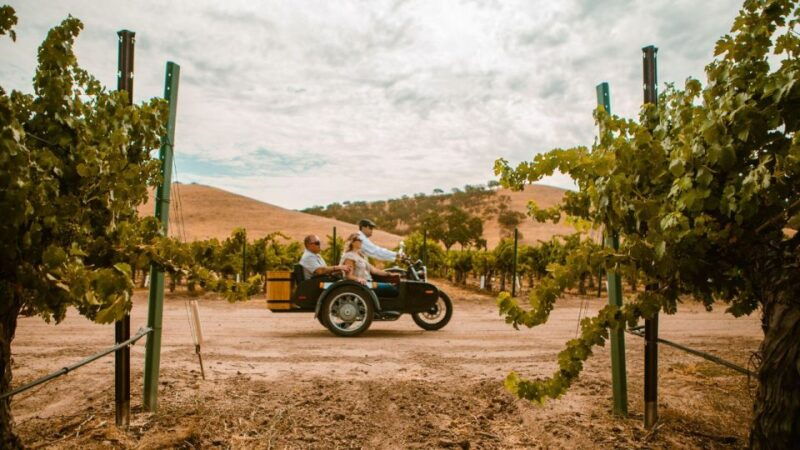paso-robles-the-luxe-wine-trail-excursion