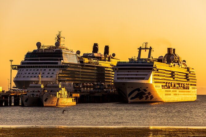 peninsula-valdes-puerto-madryn-shared-tour-for-cruises