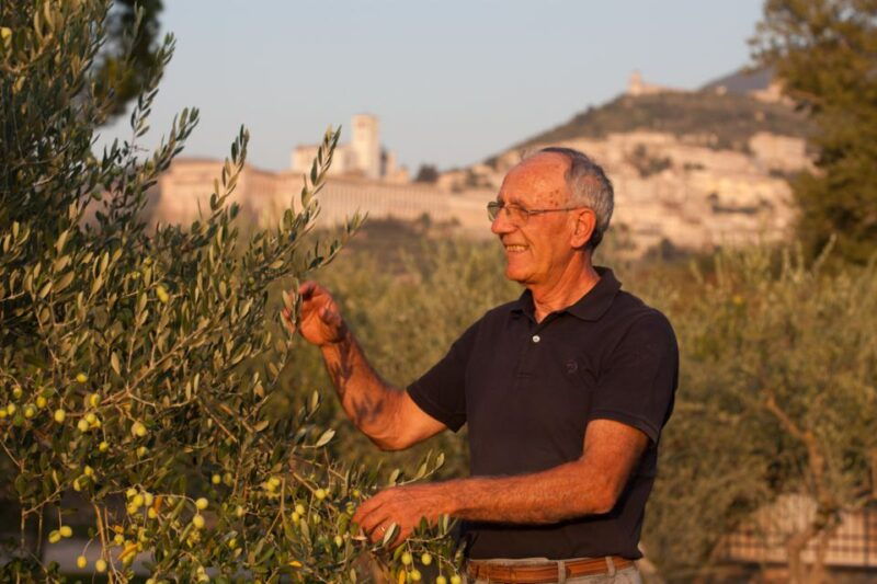 pic-nic-deluxe-assisi-and-wine-tasting-5-wines