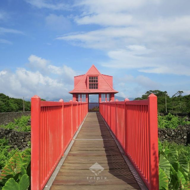 pico-day-tour-get-to-know-pico-island-with-a-local-guide