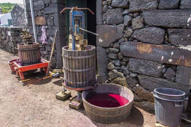 pico-island-full-day-wine-culture-tour