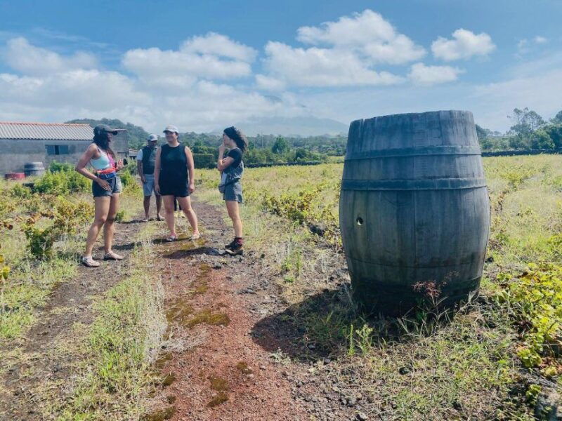 pico-island-wine-tasting-independent-producers-culture