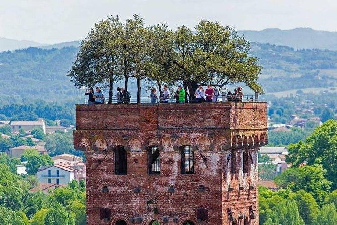 pisa-lucca-winery-private-tour-from-livorno-port