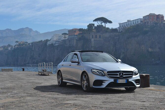pompeii-private-guided-half-day-tour-with-transfer-from-positano