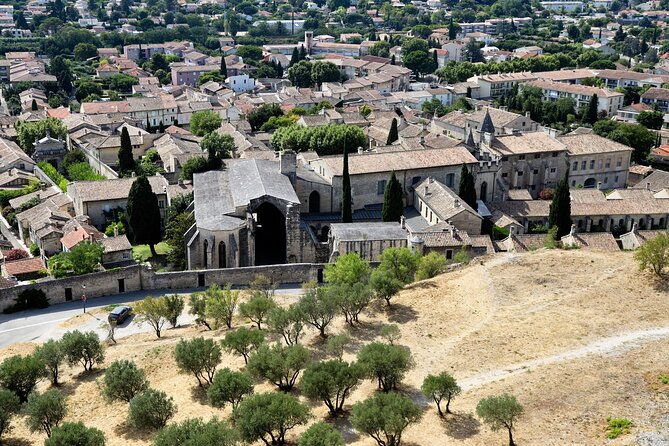 pont-du-gard-to-villeneuve-les-avignon-chateauneuf-du-pape-wine-private-tour