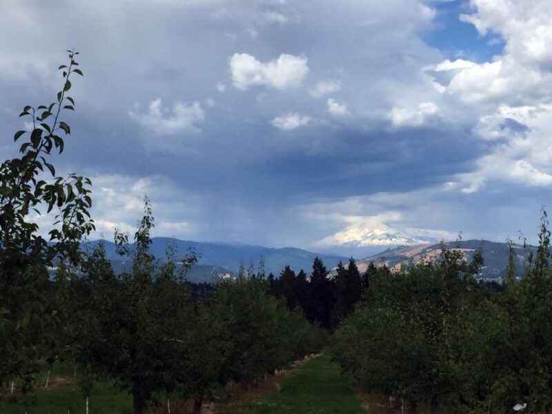 portland-mount-hood-wine-and-waterfalls-full-day-tour