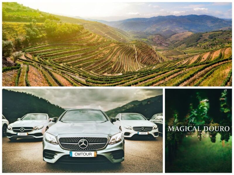 porto-private-douro-valley-day-with-lunch