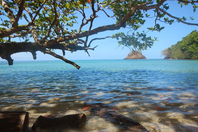 portobelo-sea-kayaking-and-snorkeling-tour