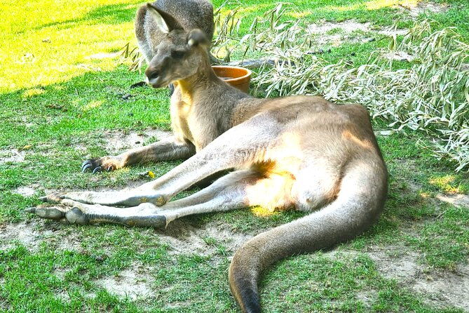 prague-zoo-admission-ticket-with-transfer-and-audio-guide