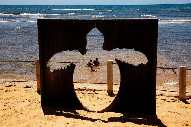 praia-do-forte-with-guarajuba-beach-day-trip-from-salvador