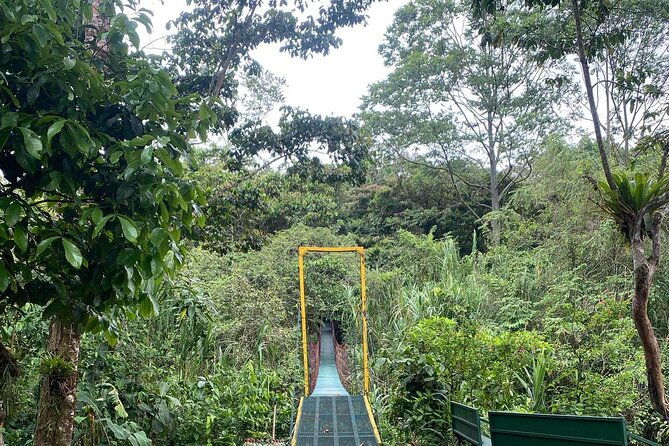 private-arenal-volcano-hike