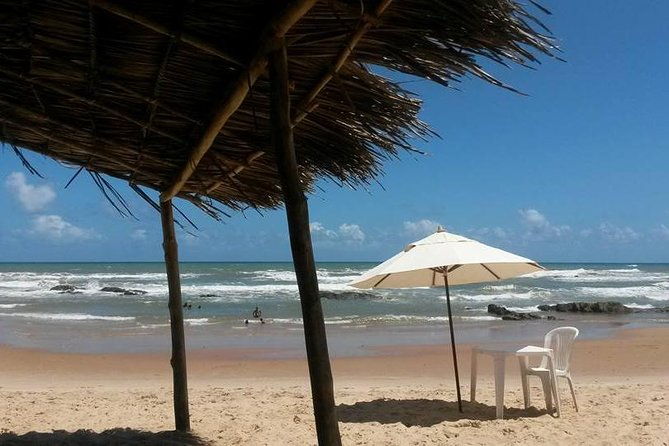 private-beach-buggy-tour-praia-do-forte-by-emytour