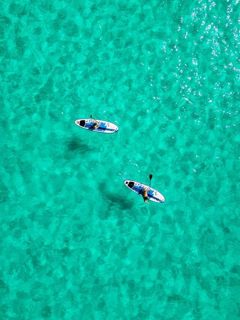 private-boat-trip-snorkel-to-marine-reserve-mallorca-3