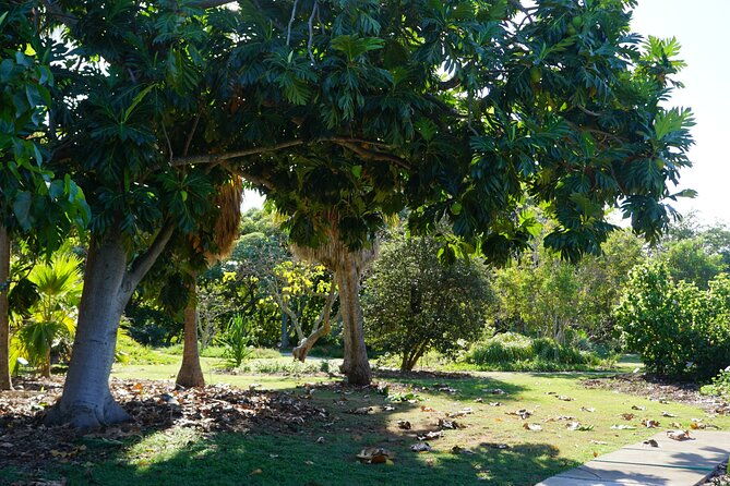 private-botanical-garden-experience-in-the-heart-of-maui