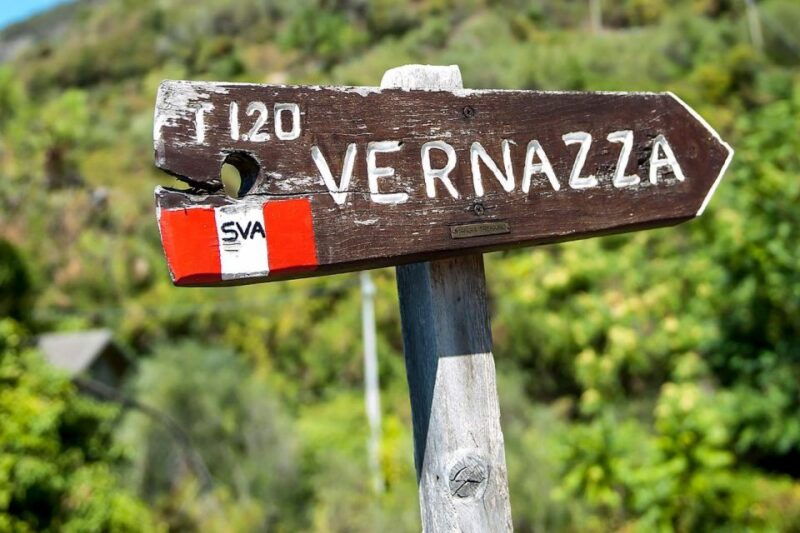 private-cinque-terre-tour-from-florence-with-optional-hike