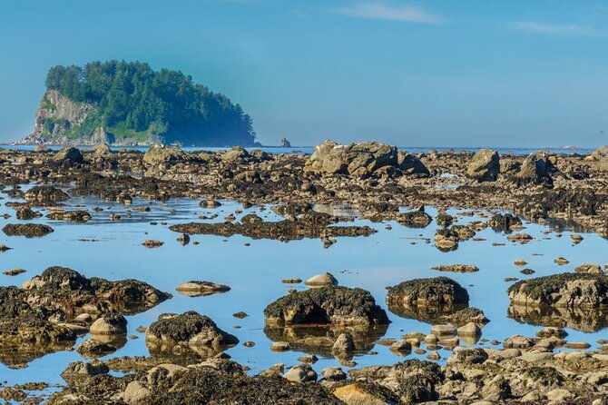 private-day-hike-in-the-ozette-triangle