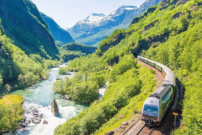 private-day-tour-naeroyfjord-cruise-viking-village-flam-railway