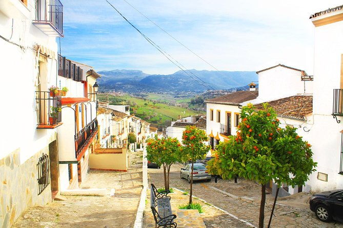 private-day-trip-ronda-and-setenil-de-las-bodegas-from-jerez
