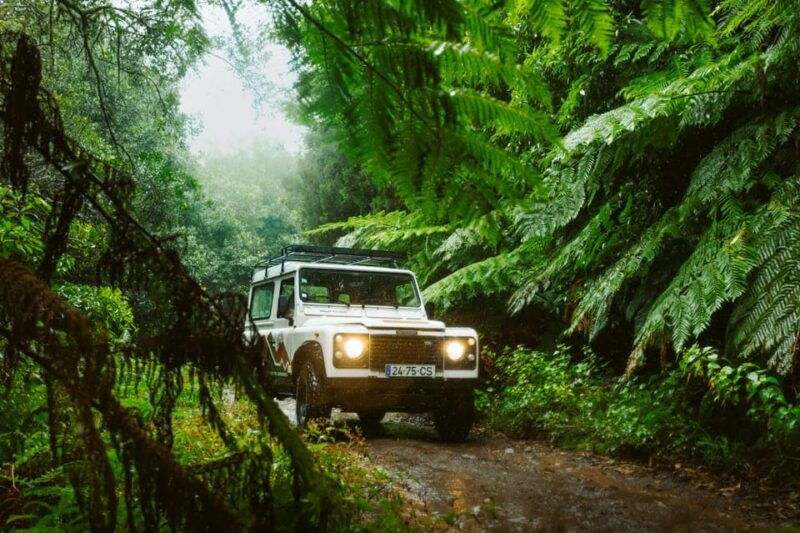 private-east-4x4-tour-pico-do-areeiro-santana-typical-houses